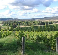 Sassy Wines - Tourism Noosa