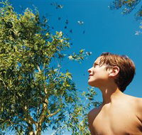 Birdwatching on Keswick Island - Tourism Noosa