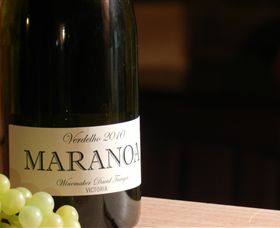 Baptista - David Traeger - Tourism Noosa 0