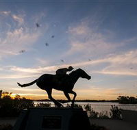 Black Caviar Statue - Tourism Noosa