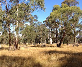 Paramoor Winery - Tourism Noosa 4