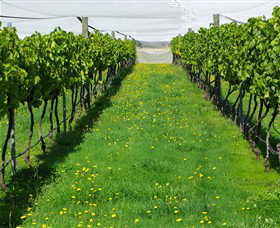 Paramoor Winery - Tourism Noosa 6