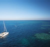 Bait Reef and Garys Lagoon Dive Site - Tourism Noosa