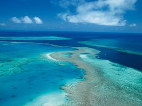 Fairey Reef - Tourism Noosa 2