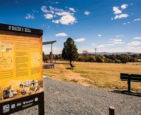 O'Brien's Hill - Tourism Noosa 0
