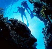 Caves and Canyons Dive Site - Tourism Noosa