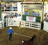 Gracemere Exhibition Complex - Tourism Noosa