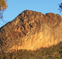 Kaputar scenic drive - Tourism Noosa