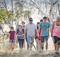 Winton Wetlands Reserve - Tourism Noosa