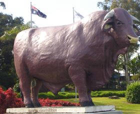 Rockhampton Bull Statues - Tourism Noosa 0