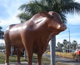 Rockhampton Bull Statues - Tourism Noosa 3