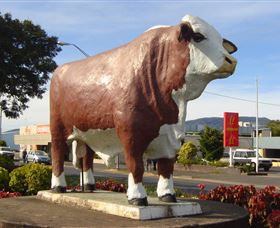 Rockhampton Bull Statues - Tourism Noosa 2