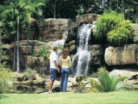 Kershaw Gardens - Tourism Noosa 0