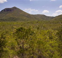 Kutini-Payamu Iron Range National Park CYPAL - Tourism Noosa