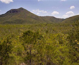 Kutini-Payamu (Iron Range) National Park (CYPAL) - Tourism Noosa 0