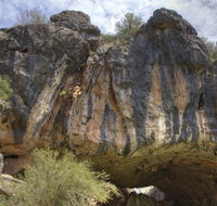 Borenore Karst Conservation Reserve - Tourism Noosa