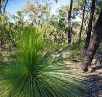 Brisbane Ranges National Park - Tourism Noosa