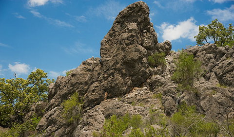 Verandah Cave - Tourism Noosa 2