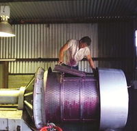 Orange Mountain Wines - Tourism Noosa