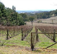 Habitat Vineyard - Tourism Noosa
