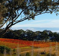 Bloodwood Estate - Tourism Noosa