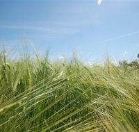 150 Degrees East Meridian - Tourism Noosa