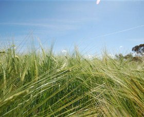 150 Degrees East Meridian - Tourism Noosa 0