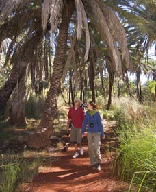 Millstream Chichester National Park - Tourism Noosa 2
