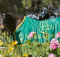 Living Legends The International Home of Rest for Champion Horses - Tourism Noosa