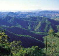Kroombit Tops National Park - Tourism Noosa