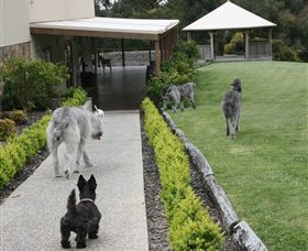 Otway Estate - Tourism Noosa 5