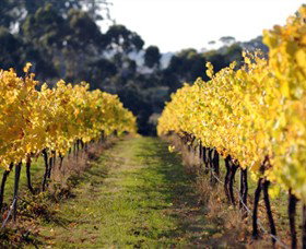 Otway Estate - Tourism Noosa 6