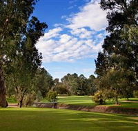 Commercial Golf Course - Tourism Noosa
