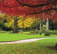 Albury Botanic Gardens - Tourism Noosa