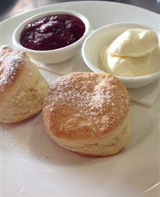 High Valley Cheese Co - Tourism Noosa 4