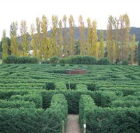 Brookfield Maze - Tourism Noosa
