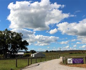 Short Sheep Micro-Winery - Tourism Noosa 8