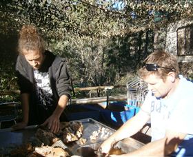 Three Creeks Tourist Gold Mine - Tourism Noosa 1