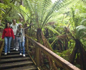 Otway Fly Treetop Adventures - Tourism Noosa 0