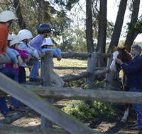 Harlow Park Horse Riding - Tourism Noosa