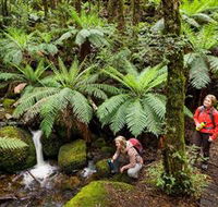 Baw Baw National Park - Tourism Noosa