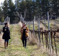 Mount Majura Vineyard - Tourism Noosa