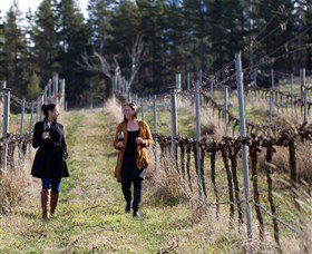 Mount Majura Vineyard - Tourism Noosa 0