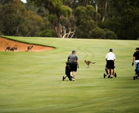Federal Golf Club - Tourism Noosa 0