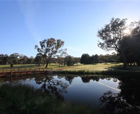 Federal Golf Club - Tourism Noosa 2