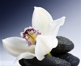 H2O Spa - Tourism Noosa 1