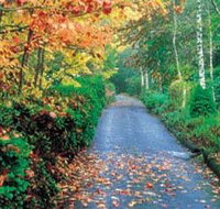 Mount Wilson and Mount Irvine - Tourism Noosa