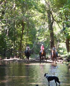 Springvale Horse Treks - Tourism Noosa 2