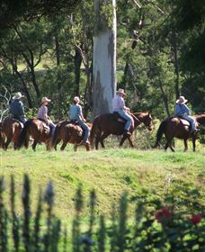 Springvale Horse Treks - Tourism Noosa 1