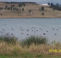 Lake Liddell Recreation Area - Tourism Noosa